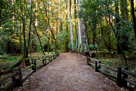 Outdoor environment
