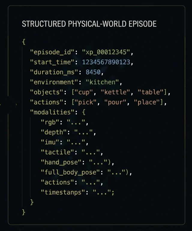 Structured physical-world episode JSON
