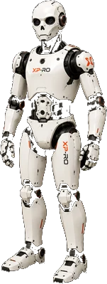 Humanoid robot